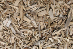 biomass boilers Lower Wear
